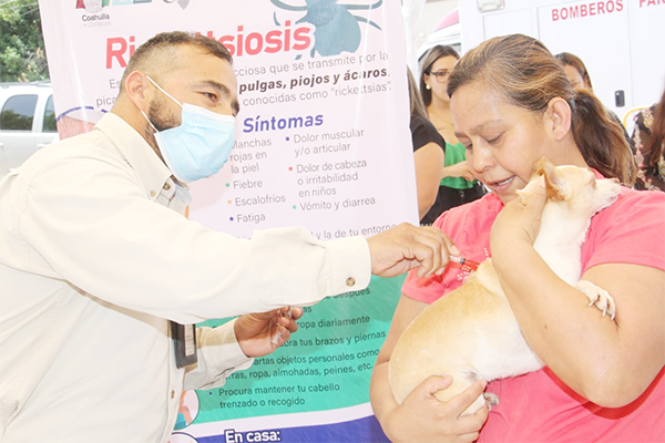 Inician programa de control de rickettsia