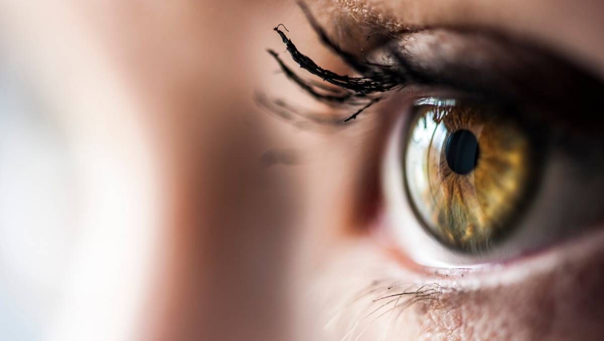 Lo que tus ojos pueden revelar de tu salud