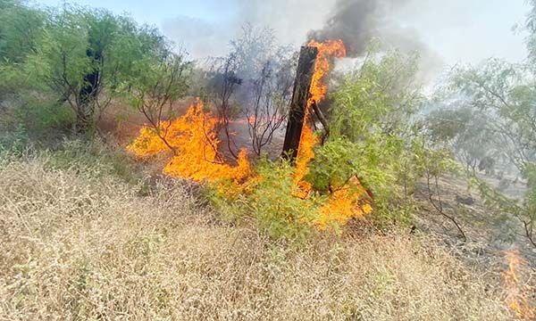 Destruye fuego varias hectáreas de pastizal