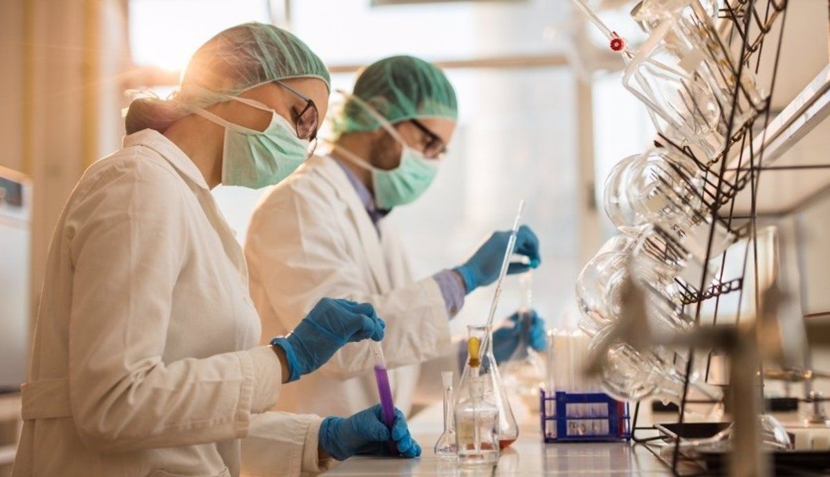 Descubren en laboratorio células que causan infartos potencialmente mortales