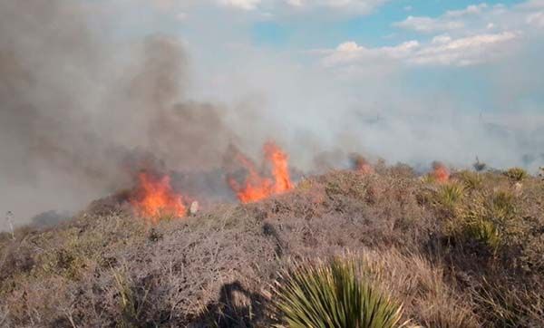 Logran controlar 60% de incendio en Huachichil