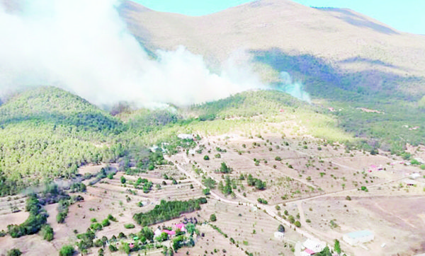Se avivan incendios en Arteaga