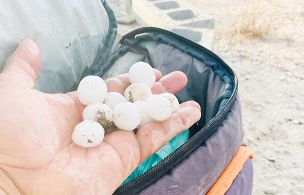 Lluvia y granizo en Castaños