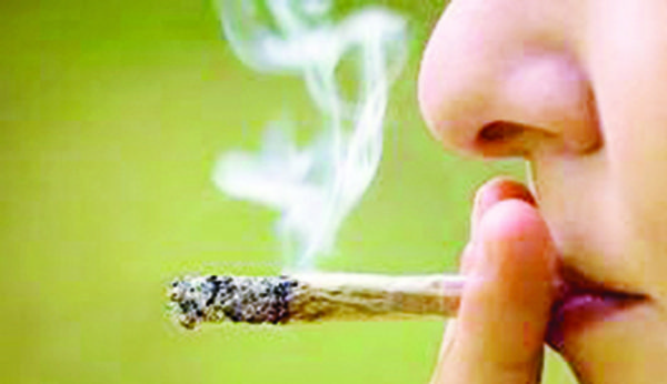 Ganan 16 coahuilenses amparo para consumo lúdico de marihuana