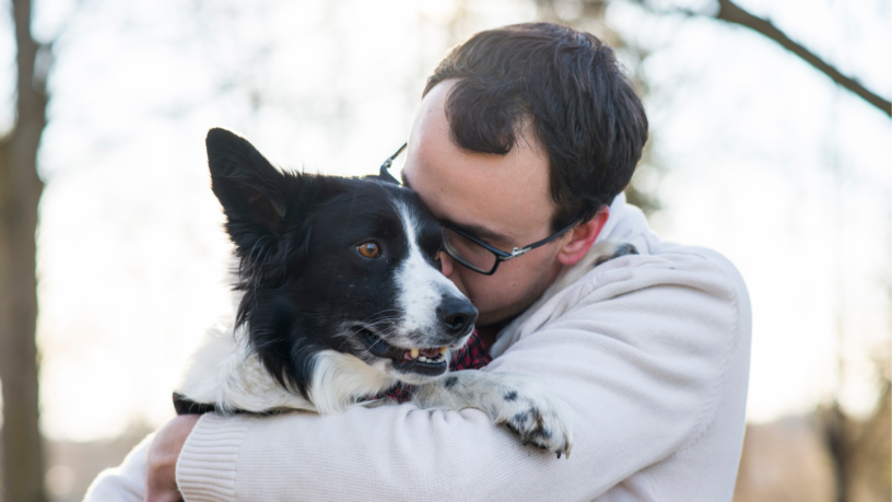 Como enfrentar la muerte de una mascota: Consejos para sanar tu corazón roto