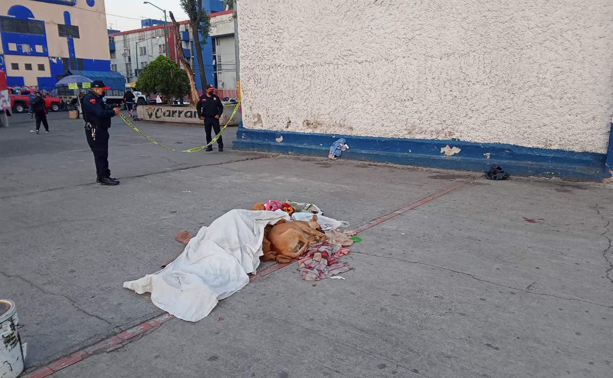 Lomito conmueve las redes por resguardar cadáver de su dueño