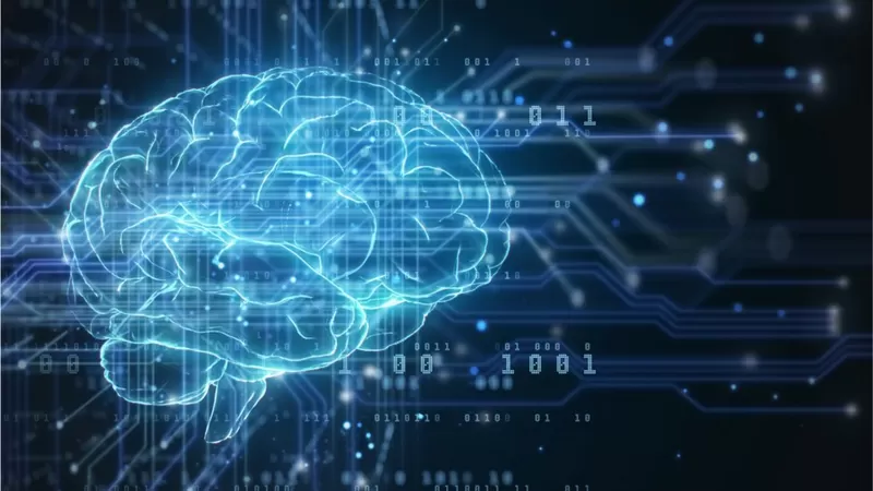 «Nada parecido existió antes»: empresas tecnológicas fabrican chips informáticos con células humanas, pero ¿es ético?