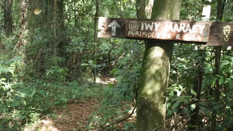 El Camino de Peabirú: la antigua y misteriosa ruta indígena de miles de kilómetros que conecta el Atlántico con el Pacífico
