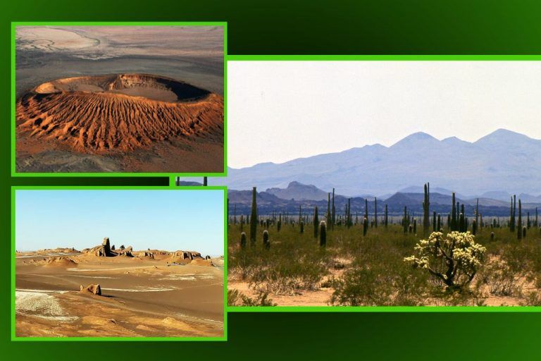 Estos son los desiertos más cálidos del mundo