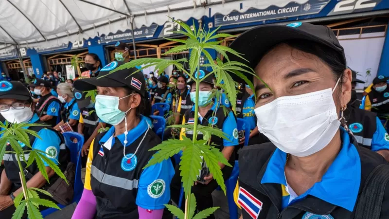 El país que pasó de perseguir las drogas con pena de muerte a ser quizás el más liberal del mundo ante la marihuana