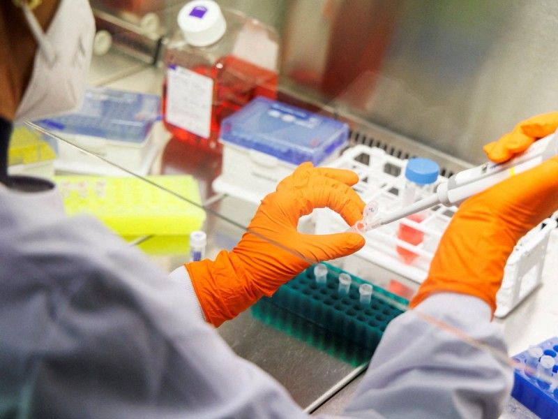 Científicos hallan ADN de viruela del mono en semen de pacientes