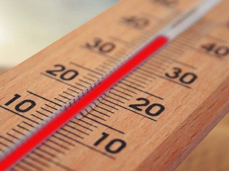 ¿Y la sociedad, qué opina del cambio climático?