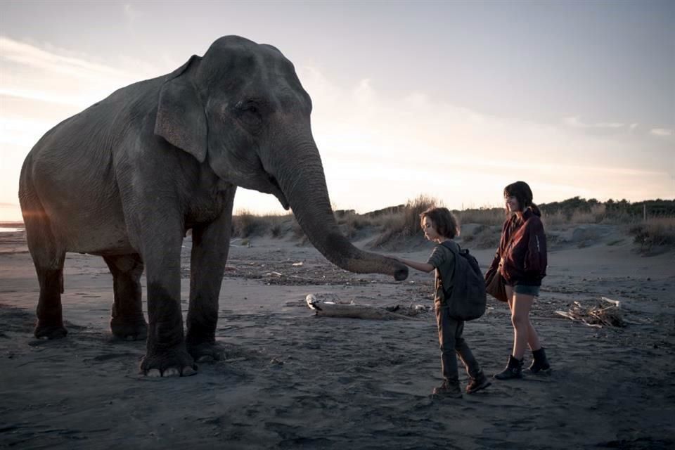 Plantea la serie ‘Anna’ apocalipsis muy adulto, ¡con niños!