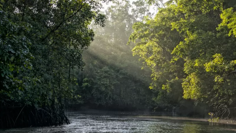 Ratanabá: por qué la leyenda de la ciudad perdida en el Amazonas «no tiene sentido», según un arqueólogo