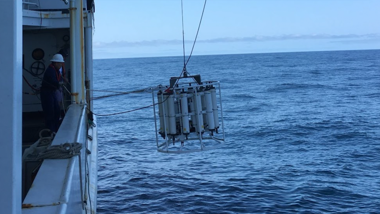 Emprenden la misión de catalogar el microbioma oceánico