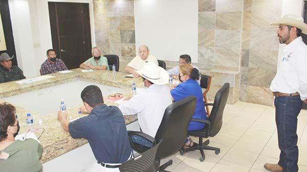 Ofrecen Castaños pacas subsidiadas