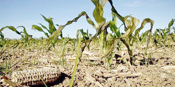 La sequía más fuerte en el campo es de recursos