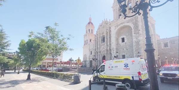 Atacan abejas y cierran Catedral