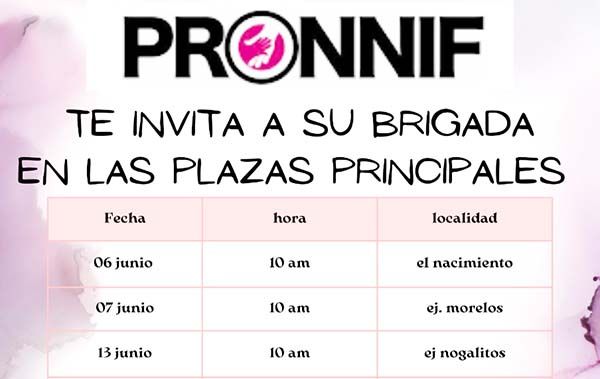 Realizarán brigadas de PRONNIF en Múzquiz