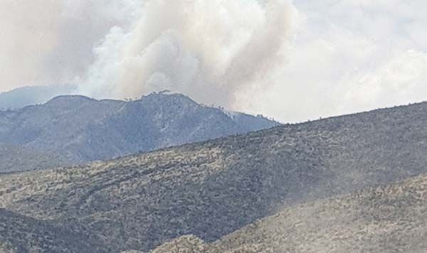 Consume incendio casi 5 mil hectáreas