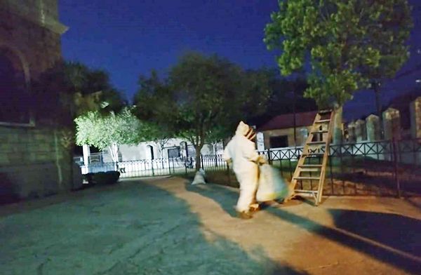 Retiran enjambres cuerpos de rescate