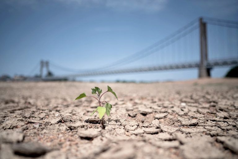 Estos países sufren una ola de calor inusual