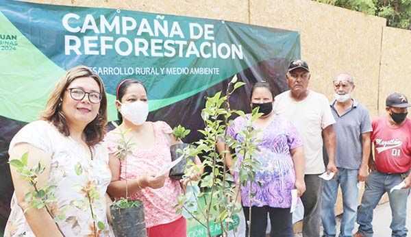 Exhortan a la reforestación