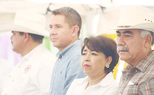 Mantienen venta de árboles a bajo costo