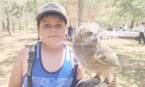 Experto cetrero de Coahuila tiene 10 años de edad