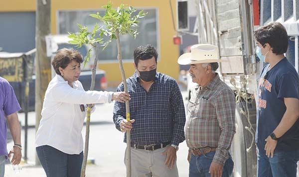 Entregan árboles frutales de “cultivos estratégicos”