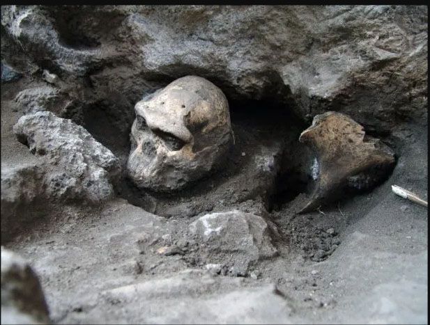 Descubren que los primeros fósiles humanos son más antiguos de lo que se creía