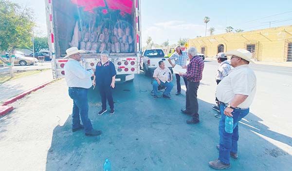 Aprovechan frutos de árboles para comercializar con turistas
