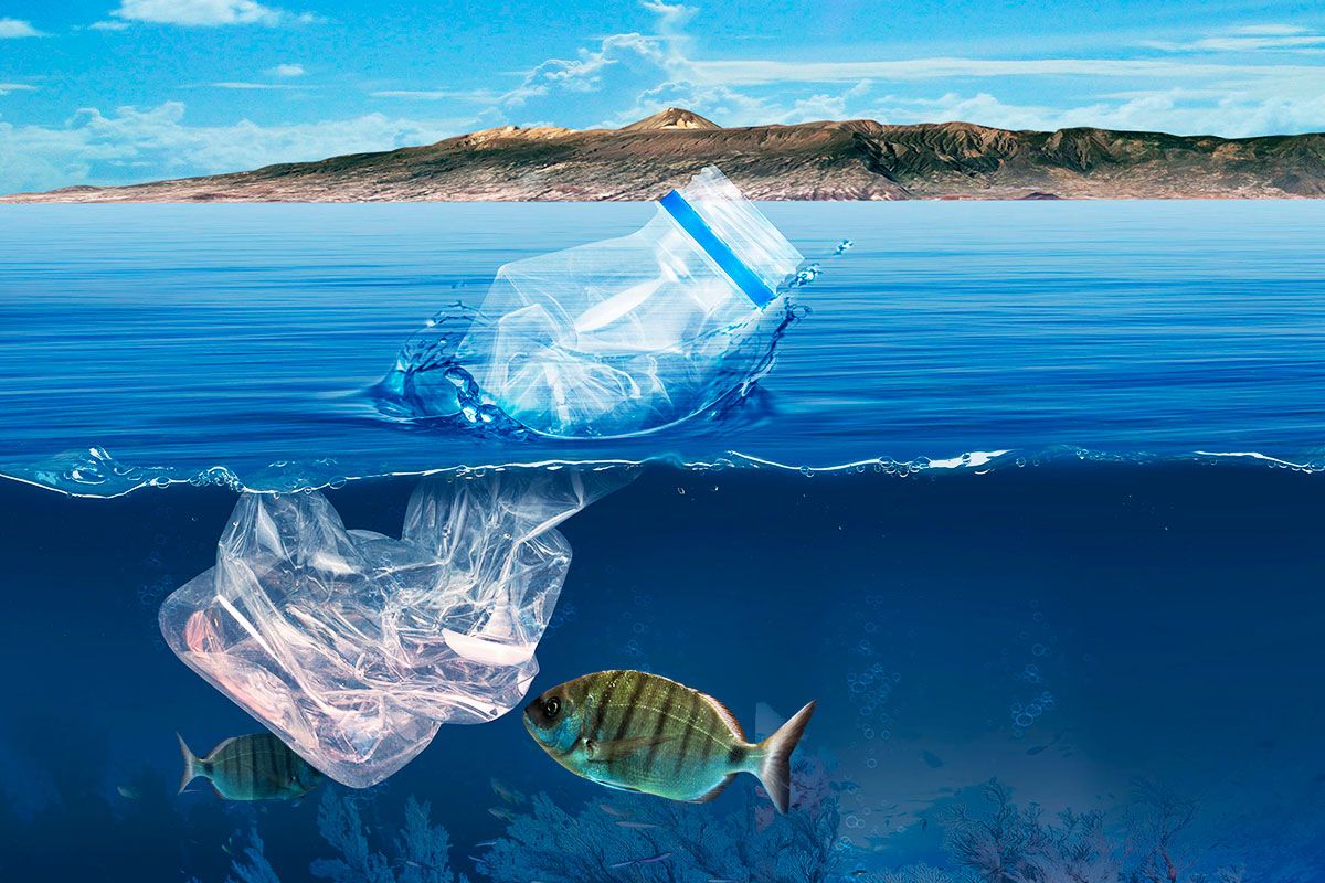 «Preocupante»: científicos encuentran microplásticos en peces del fondo marino