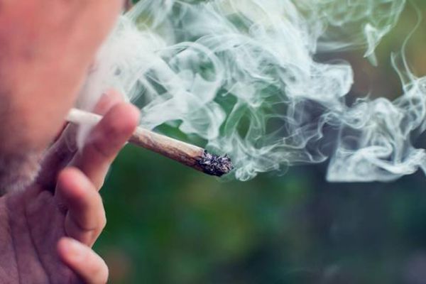 Tienen permiso para fumar marihuana 16 coahuilenses de SCJN