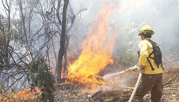 Apoyan helicópteros combate de incendio