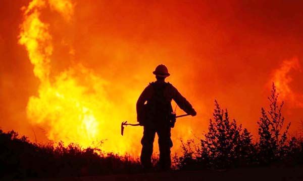 Consume fuego mil 300 hectáreas en La Madera