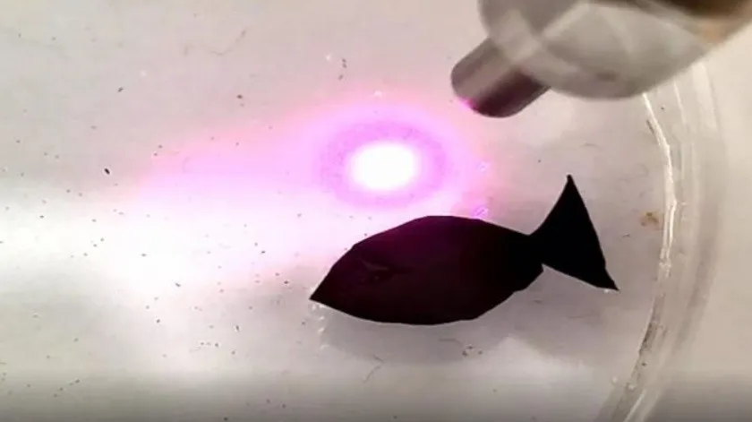 China: Crean robots con forma de pez para absorber plásticos de los océanos