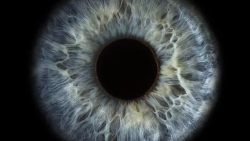 Los científicos que «revivieron» las células de la retina de un donante muerto (y cómo puede revolucionar las terapias para enfermedades del ojo)