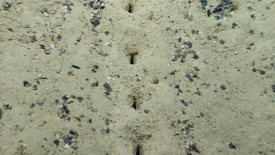 ¿Qué son los enigmáticos agujeros en el fondo del Atlántico encontrados por científicos?