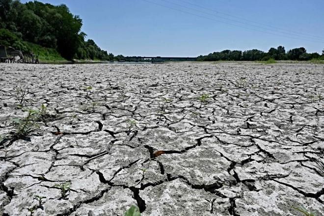 SOS: emergencia por falta de agua en estados del norte