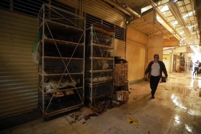 Dejan locatarios de Mercado de Sonora venta de animales