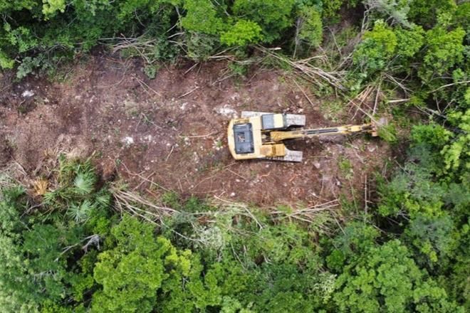 Rastrea la 4T a impulsor de amparo contra Tren Maya