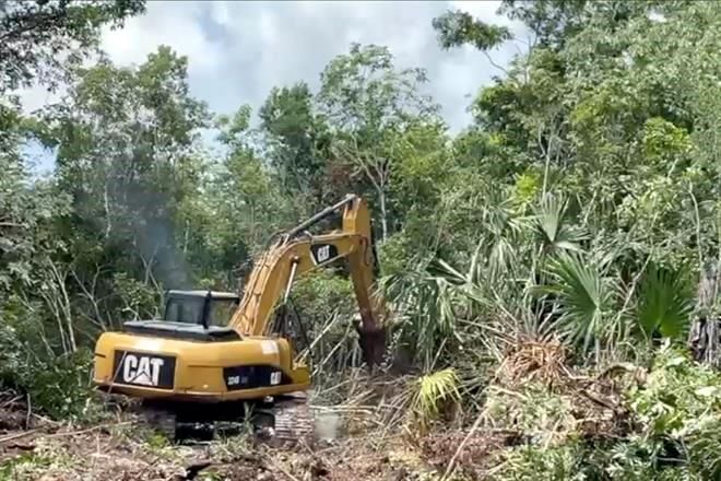 Denuncian desacato a orden que prohíbe obras en Tren Maya