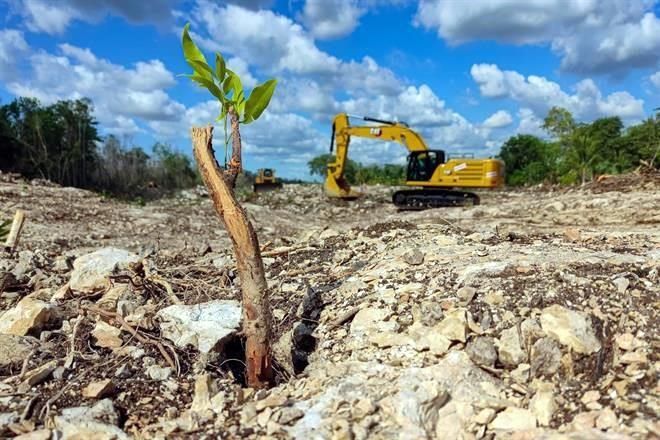 Modifica juez suspensión contra Tren Maya, pero no detalla