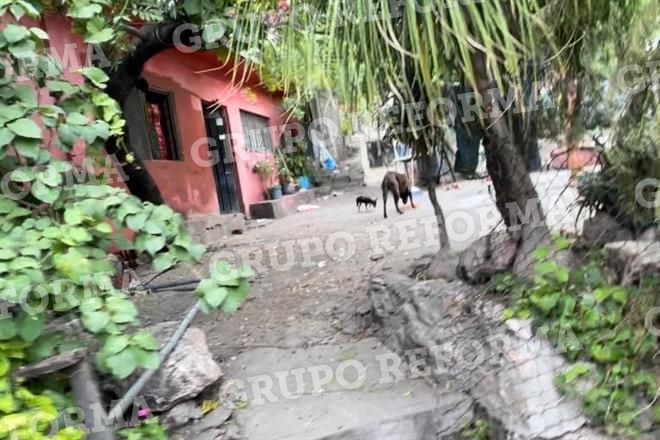 Catean casa de atacantes de Margarita Ceceña