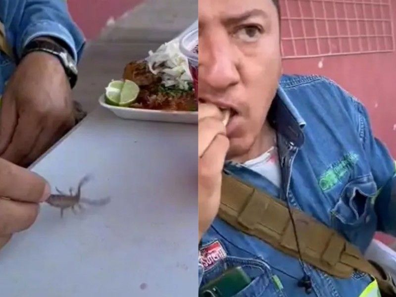 ¿Viagra mexicano? Electricista presume un taco de birria con ¡un alacrán vivo!