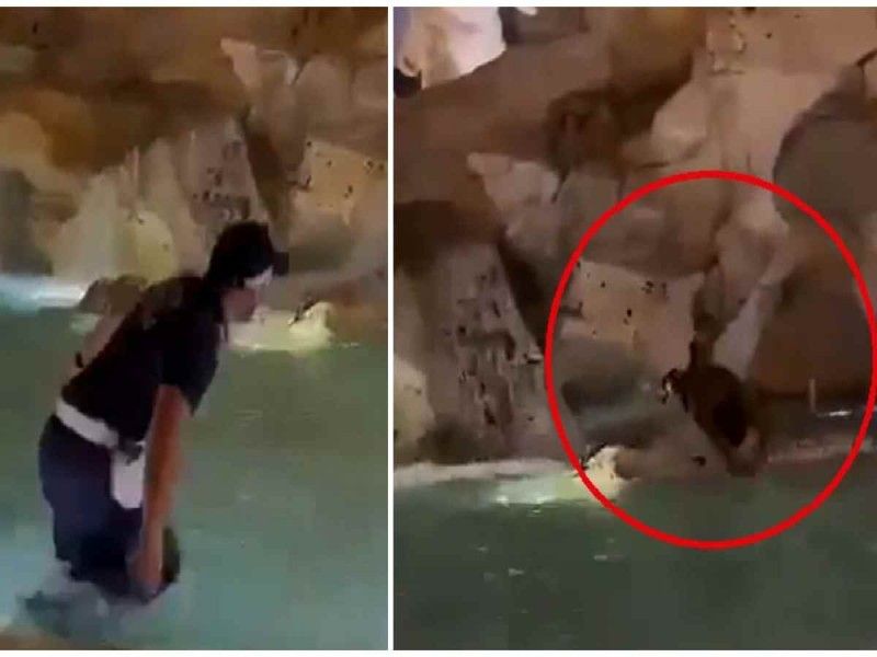 ¡Perseverancia! Hombre se mete a nadar a la fuente Trevi, lo multan y a las dos horas regresa