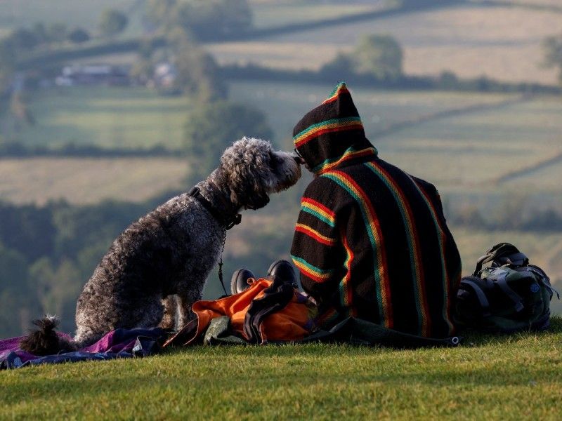 Esa tenue y sutilísima comunicación entre el perro y el humano