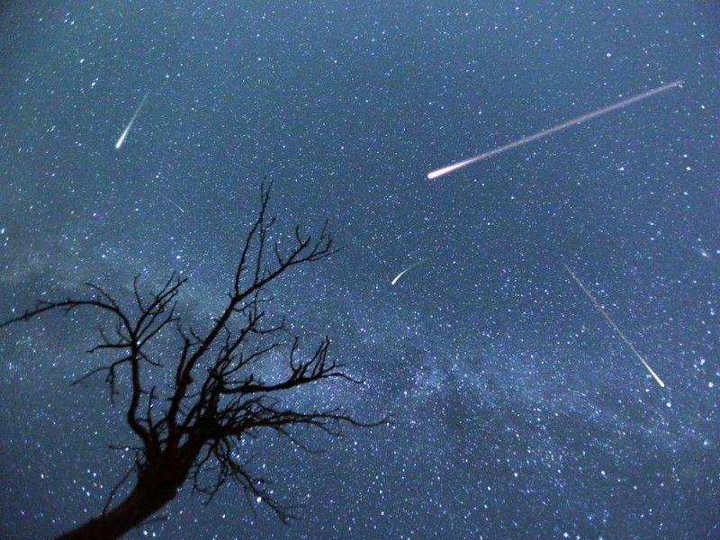 ¡A pedir deseos! Estos días puedes ver la lluvia de estrellas de julio