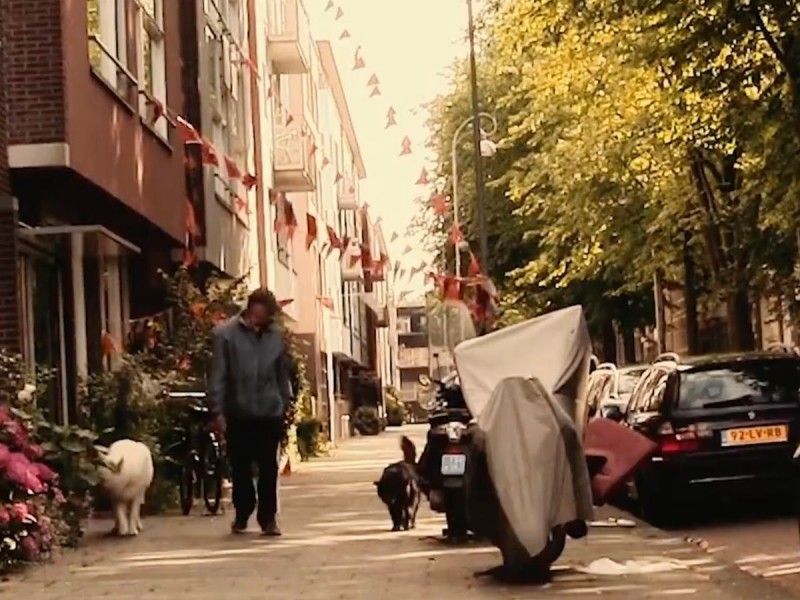 Holanda acabó con el problema de los perros callejeros ¡en 4 pasos!